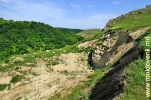 Крутые склоны долины Раковца перед входом реки в Володенское ущелье
