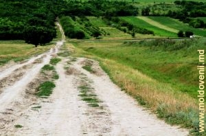 Drumul în valea Cogîlnicului în preajma satului Gura Galbenă, Cimişlia