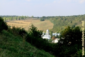 Вид из ущелья на монастырь Добруша, Шолдэнешть