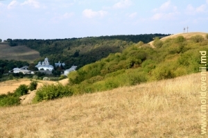 Вид со склона холма на монастырь Добруша, средний план