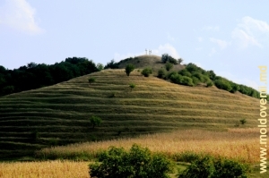 Гора «Голгофа» над монастырем Добруша, вид с монастырского двора
