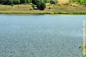 Lacul de acumulare de pe rîul Racovăţ din satul Corestăuţi, Ocniţa