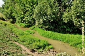 Rîul Racovăţ din satul Tîrnova, Edineţ