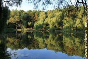 Озеро осенью в Единецком городском парке