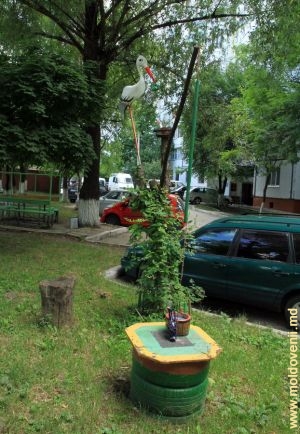 Elemente de decor ale scuarului de lîngă blocul 22 din strada Sadoveanu