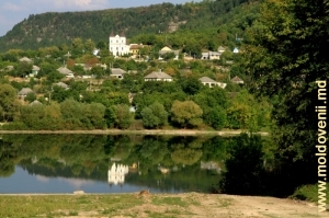 Вид на центр села с правого берега Днестра