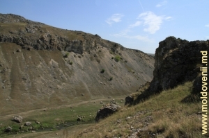 Вид на дно ущелья и левый склон