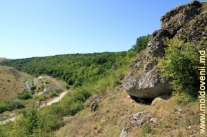 Toltrele de deasupra văii rîului Racovăţ, la marginea satului Gordineşti