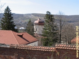 Vedere spre mănăstirea Căpriana de pe ulicioara de sus a satului