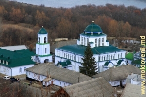 Вид на Днестр и монастырь Жапка с вершины