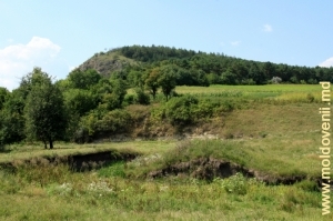 Vedere spre Ocolul Silvic Borta Ciuntului şi valea rîului Lopatnic dinspre satul Caracuşenii Vechi