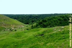Урочище Ла Кастел, вид с левого склона долины Раковца