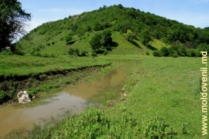 Слияние рек Богда и Раковэц у входа в Володенское ущелье