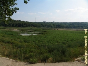 Vedere - fostul lac din parcul de cultură şi odihnă „Valea Morilor” din Chişinău (Lacul Comsomolist)