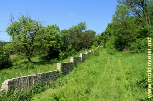 Дорога вдоль стены монастыря Циганешть 