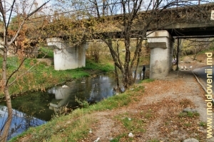 Мосты через Бык в Кишиневе