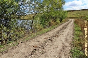 Дорога над запрудой на Чугуре в селе Софрынкань, Единец
