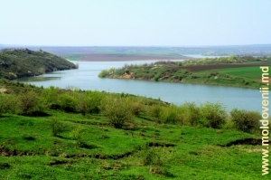 Vărsarea rîului Racovăţ în Prut în preajma satului Corpaci, Edineţ