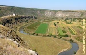 Вид в западном направлении на долину Реута у села Бутучень
