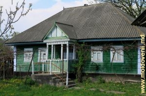 Традиционные молдавские дома в Брынзенах