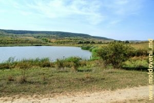 Lacul de acumulare de pe rîul Lăpușna în apropierea satului Iurceni, Nisporeni