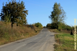 Drumul Nişcani-Răciula, Călăraşi