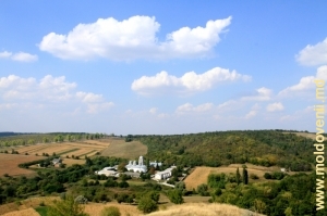 Вид на монастырь Добруша и его окрестности с вершины горы «Голгофа»