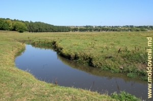 Rîul Ciugur lîngă satul Parcova, raionul Edineţ