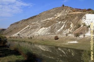 Masivul calcaros, situat de-a lungul malului stîng al Răutului, în preajma satului Maşcăuţi, Criuleni