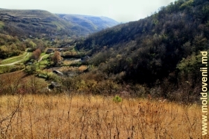 Вид на долину реки Косарэу с вершины левого склона Рудого яра