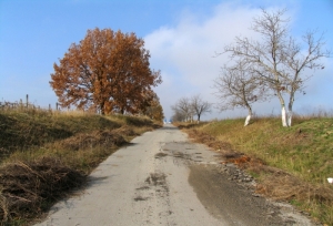 Drumul spre mănăstire- toamna, Mănăstirea Frumoasa, Călăraşi