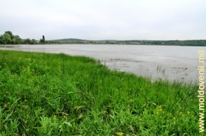Вид на водохранилище вблизи дамбы, левый берег