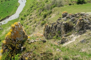Живописные скалы на склоне ущелья