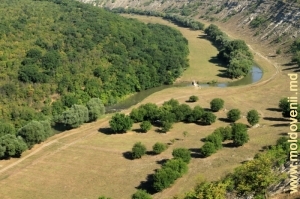 Вид в северном направлении на долину Реута за селом Требужень, крупный план