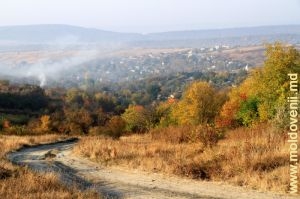 Вид с дороги на село Телешень, Орхей