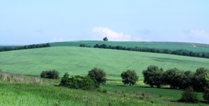 Новоаненский пейзаж