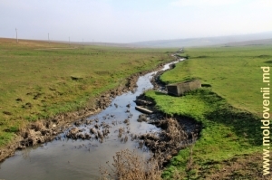 Rîul Cuşmirca în apropiere de satul Cuşmirca