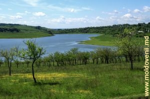 Lac de acumulare din Costești, mai 2014