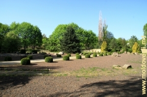Ботанический сад, апрель 2012