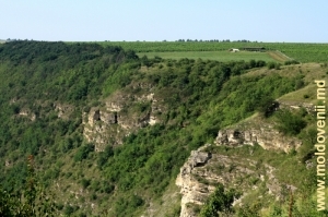 Вершины правого склона Бутученского ущелья
