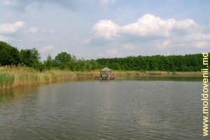 Lacul din rezervaţia „Plaiul fagului”, Rădeni, Ungheni