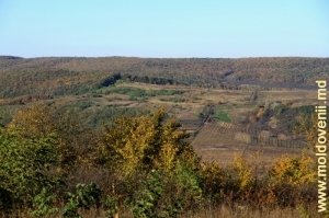Peisaj de toamnă, raionul Călăraşi