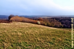 Vedere spre partea de sus a pantelor, sus de defileul din valea rîului Cuşmirca