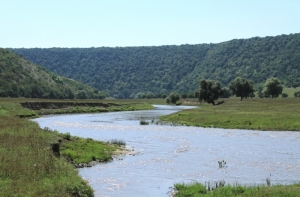 Река Рэут между Требужень и Фурчень, Орхей