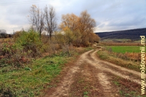 Долина реки Бык у села Петичень