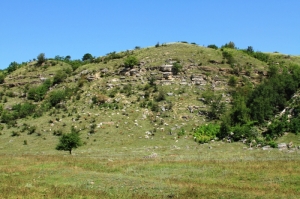 Козье стадо на склоне толтрового холма