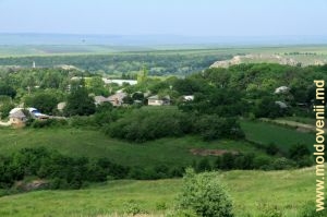 Vedere a satului Brînzeni din partea drumului de acces, sus de sat