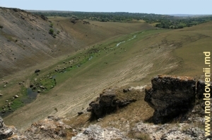 Вид на долину реки Драгиште с вершины правого склона ущелья