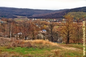 Вид села Петичень