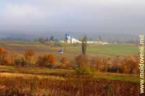 Вид на монастырь Фрумоаса осенью, 2008